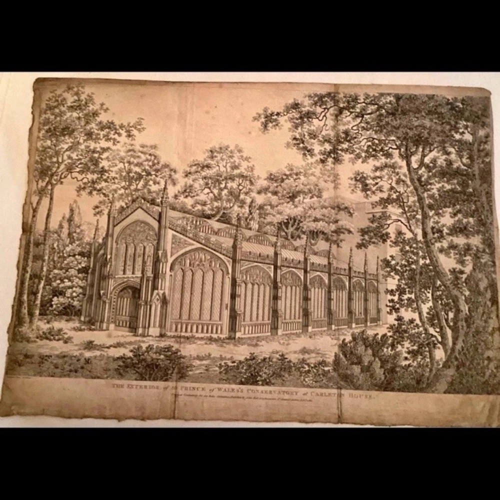 1817 Antique Engraving – Prince of Wales’s Conservatory, Carlton House John Bell